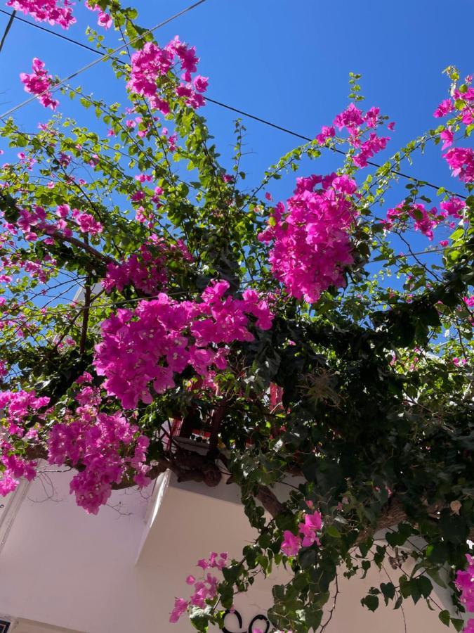 Halkidiki Greek Pride ηotel And 3* Skala Fourkas